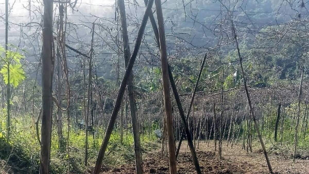 Área rural do sítio matriz
